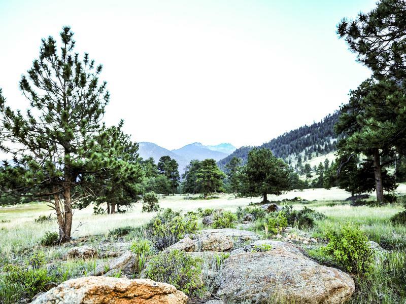 The Historic Crag's